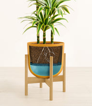 Load image into Gallery viewer, Sunset Orange stand:bamboo