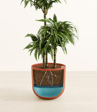 Load image into Gallery viewer, Earth Red