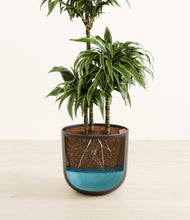 Load image into Gallery viewer, Stone Black