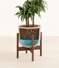 Load image into Gallery viewer, Sandy Pink stand:walnut