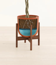 Load image into Gallery viewer, Earth Red stand:walnut