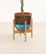 Load image into Gallery viewer, Earth Red stand:bamboo