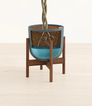 Load image into Gallery viewer, Iron Gray stand:walnut