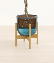 Load image into Gallery viewer, Iron Gray stand:bamboo