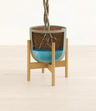 Load image into Gallery viewer, Sage Green stand:bamboo