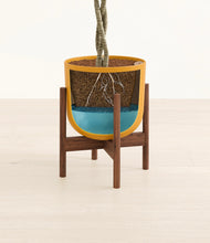 Load image into Gallery viewer, Susnet Orange stand:walnut