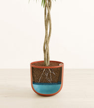 Load image into Gallery viewer, Earth Red