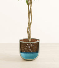 Load image into Gallery viewer, Sage Green