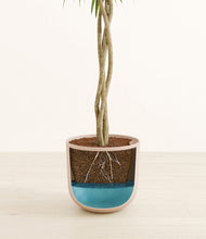 Load image into Gallery viewer, Sandy Pink