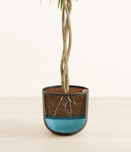 Load image into Gallery viewer, Stone Black