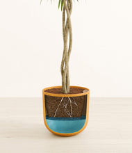 Load image into Gallery viewer, Sunset Orange