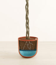 Load image into Gallery viewer, Earth Red