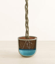 Load image into Gallery viewer, Sage Green