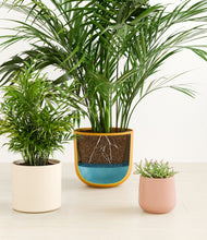 Load image into Gallery viewer, Evening Sky