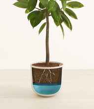 Load image into Gallery viewer, Natural Bamboo