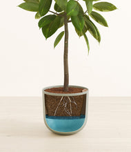 Load image into Gallery viewer, Sage Green