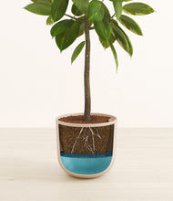 Load image into Gallery viewer, Sandy Pink