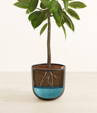 Load image into Gallery viewer, Stone Black