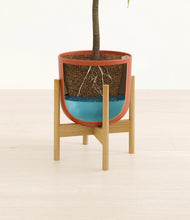 Load image into Gallery viewer, Earth Red stand:bamboo