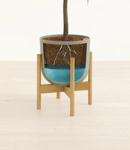 Load image into Gallery viewer, Sage Green stand:bamboo