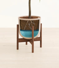 Load image into Gallery viewer, Sandy Pink stand:walnut