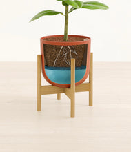 Load image into Gallery viewer, Earth Red stand:bamboo