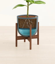 Load image into Gallery viewer, Iron Gray stand:walnut