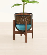 Load image into Gallery viewer, Stone Black stand:walnut