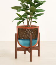 Load image into Gallery viewer, Earth Red stand:walnut