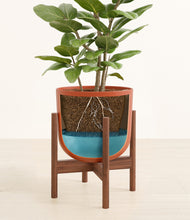 Load image into Gallery viewer, -