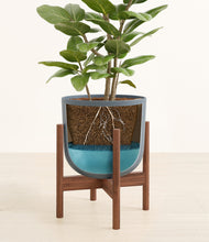 Load image into Gallery viewer, -