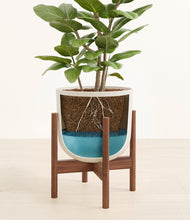 Load image into Gallery viewer, -