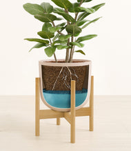 Load image into Gallery viewer, -