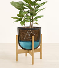 Load image into Gallery viewer, -