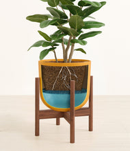 Load image into Gallery viewer, Sunset Orange stand:walnut