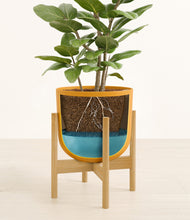 Load image into Gallery viewer, -