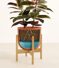 Load image into Gallery viewer, Earth Red stand:bamboo