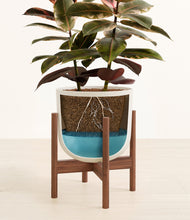 Load image into Gallery viewer, Natural Bamboo stand:walnut