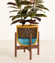 Load image into Gallery viewer, Sunset Orange stand:walnut