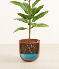 Load image into Gallery viewer, Earth Red