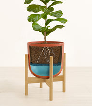 Load image into Gallery viewer, Earth Red stand:bamboo