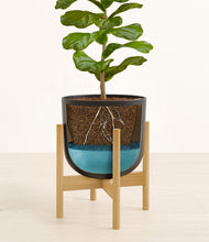 Load image into Gallery viewer, Stone Black stand:bamboo