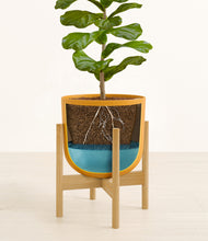 Load image into Gallery viewer, Sunset Orange stand:bamboo