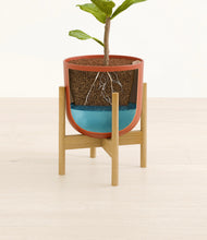 Load image into Gallery viewer, Earth Red stand:bamboo