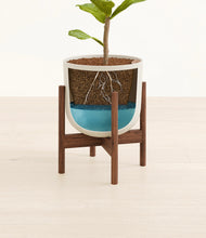Load image into Gallery viewer, Natural Bamboo stand:walnut