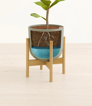 Load image into Gallery viewer, Sage Green stand:bamboo