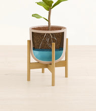 Load image into Gallery viewer, Sandy Pink stand:bamboo