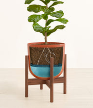 Load image into Gallery viewer, Earth Red stand:walnut