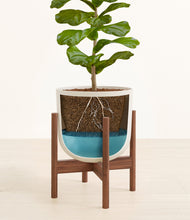 Load image into Gallery viewer, Natural Bamboo stand:walnut