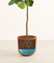 Load image into Gallery viewer, Earth Red